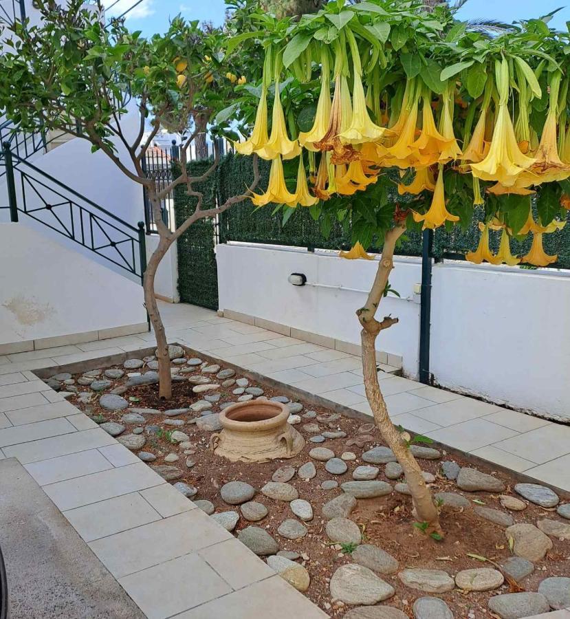 Dimitris Place Near Athens Airport Koropion Luaran gambar